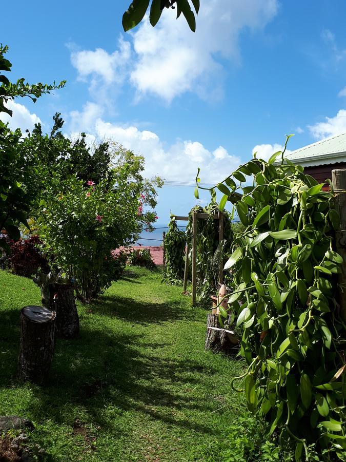 Gites Chez Marie Christine Trois-Rivières المظهر الخارجي الصورة